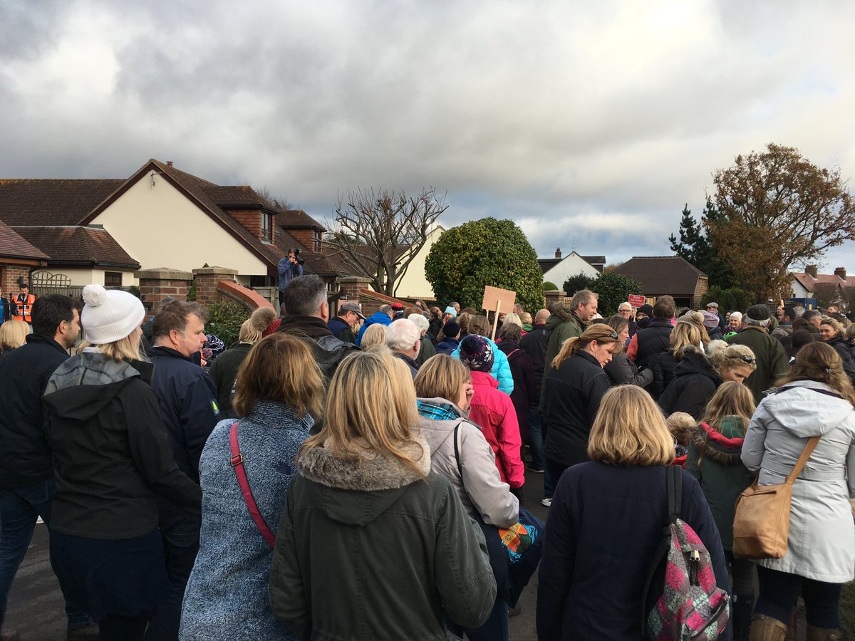 GoddersSteve's tweet photo. Badger is NOT a campaigner or a nimby but joined @savewarsash walk today to show our solidarity against @FarehamBC plans for 700/800 housing development off Greenaway Lane. #savewarsash https://t.co/H9vhjf88xm