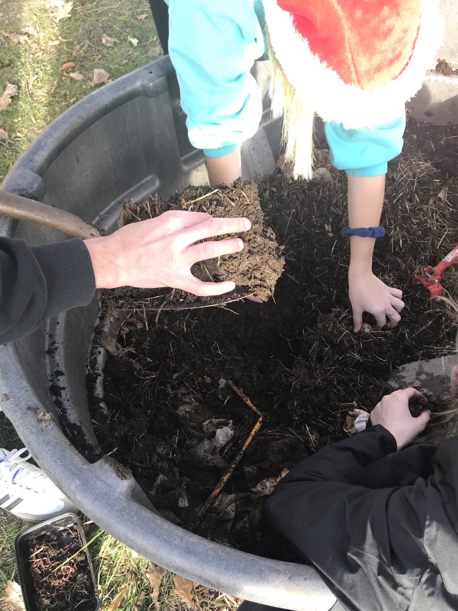MSUworms's tweet photo. Worm Roundup, day 2! #msuworms #msurise #vermicomposting https://t.co/PcJbHsMtyf