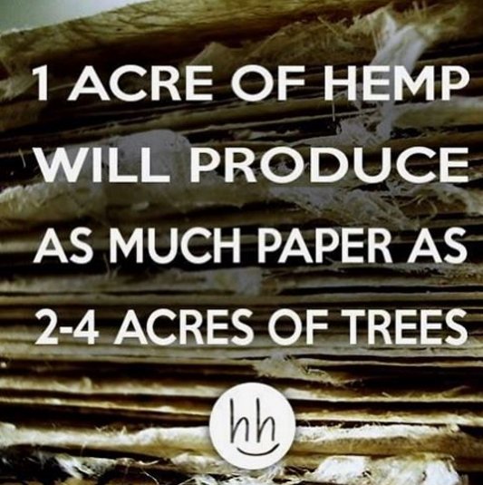 Washingtonbudco's tweet photo. Did you know...1 acre of #hemp will produce as much paper as 2-4 acres of trees? https://t.co/BpkJwEgZbS