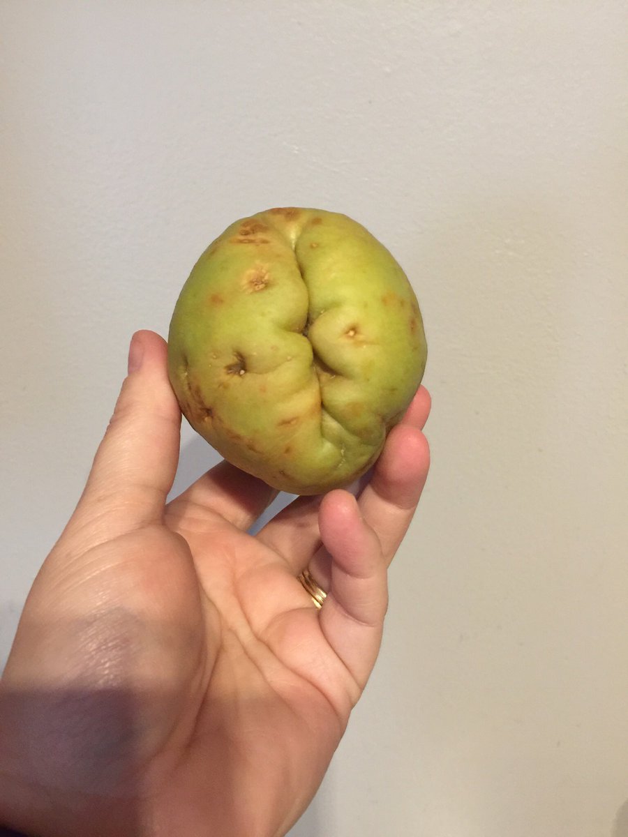 TheDodsonFamily's tweet image. So my darling husband put this in the cart and said I have no clue what it is but we need to try new things so figure it out and make it for dinner please. #imnoteatingthat #googlehelpme