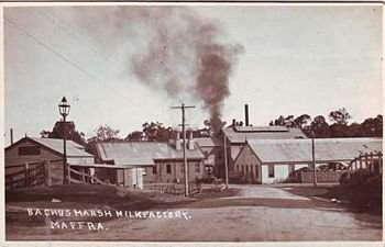 CameraAtWork's tweet image. Titled &apos;Bachus Marsh [sic] milk factory. Maffra&apos; (c1920) but which one is it? Bacchus Marsh or #Maffra? Postcard in @historyvictoria collection (P-1314) #cameraatwork @museumsvictoria