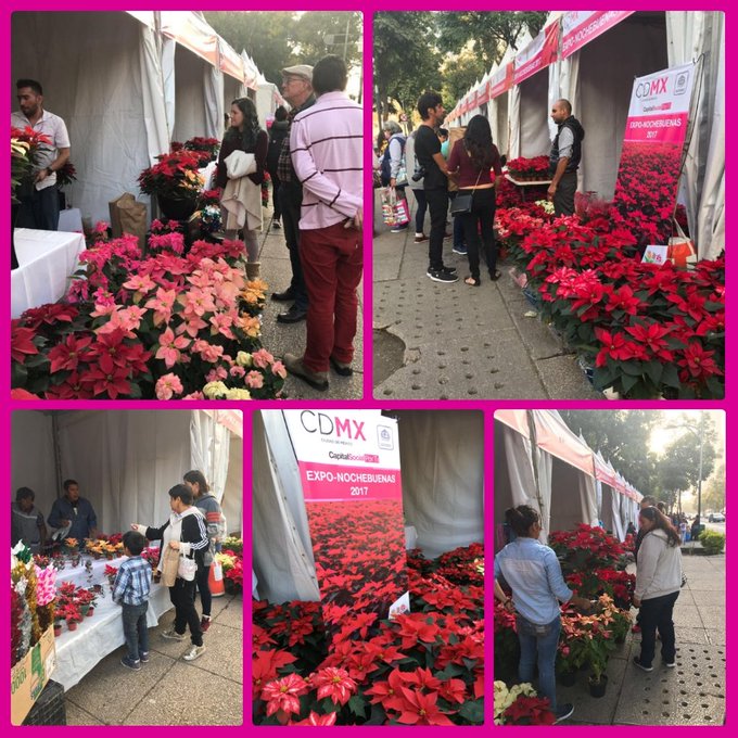 Ver imagen en Twitter