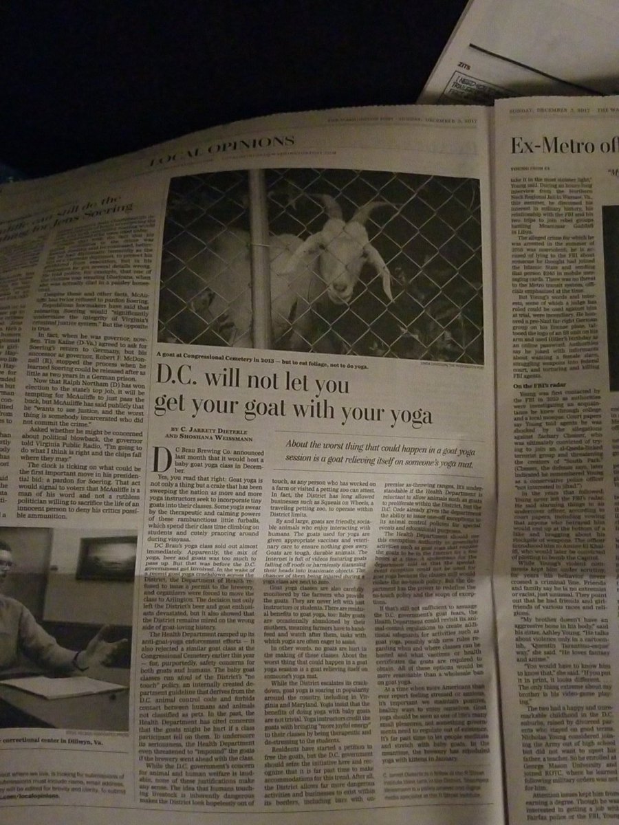 Shoshana Weissmann Sloth Committee Chair On Twitter I