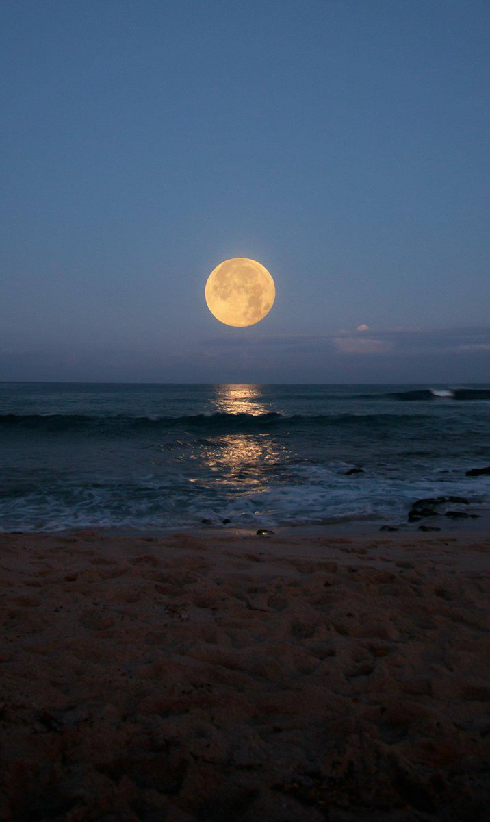 AngelaBrentHar1's tweet image. Super fullmoonrise in Gemini! 🌕🕉🦄🕊💛
Photo credits: Bryan Silverman 
#Moonrise 
#Moon 
#supermoon 
#LoveFL 
@EcotourismFL 
@PalmBeachesFL 
@ShareALittleSun