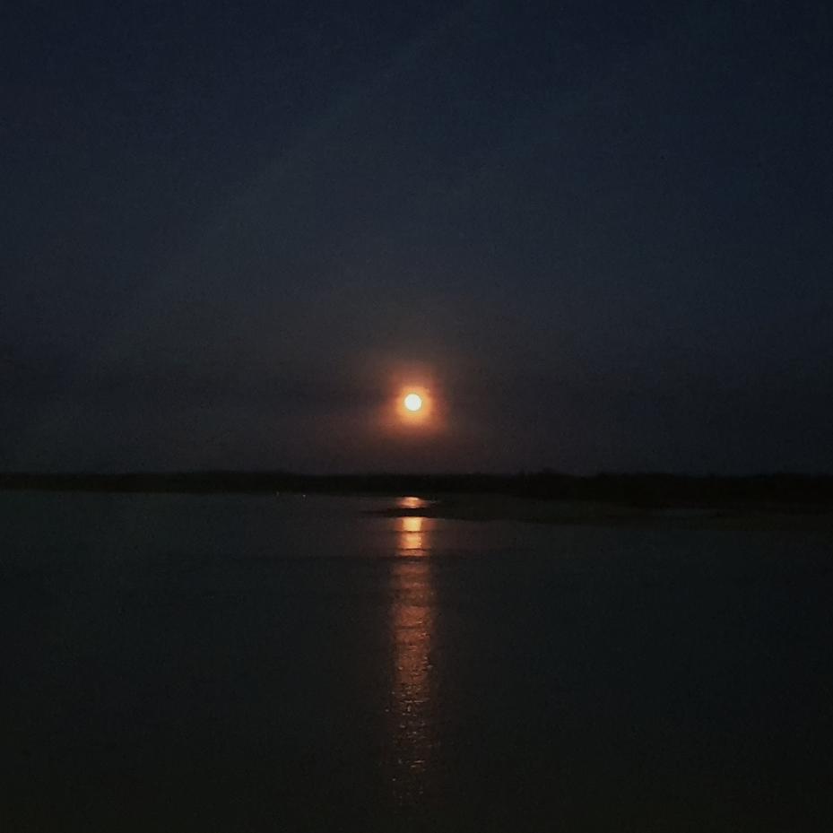 aluizionassi's tweet image. Última SUPER LUA do ano!

#SuperMoon
#SHOWZAÇO 
#Roraima_SemIgual
#RioBranco