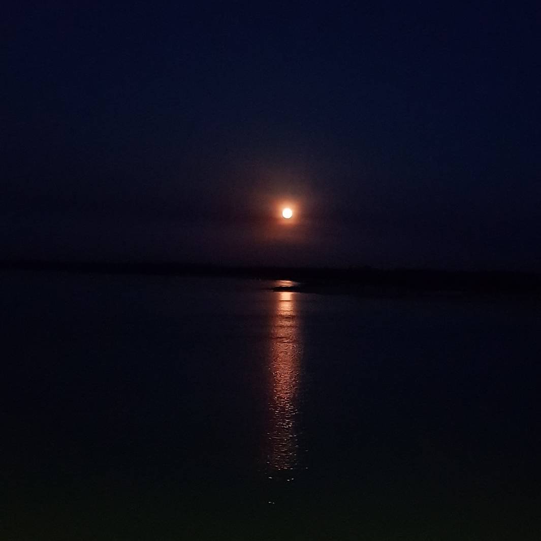 aluizionassi's tweet image. Última SUPER LUA do ano!

#SuperMoon
#SHOWZAÇO 
#Roraima_SemIgual
#RioBranco
