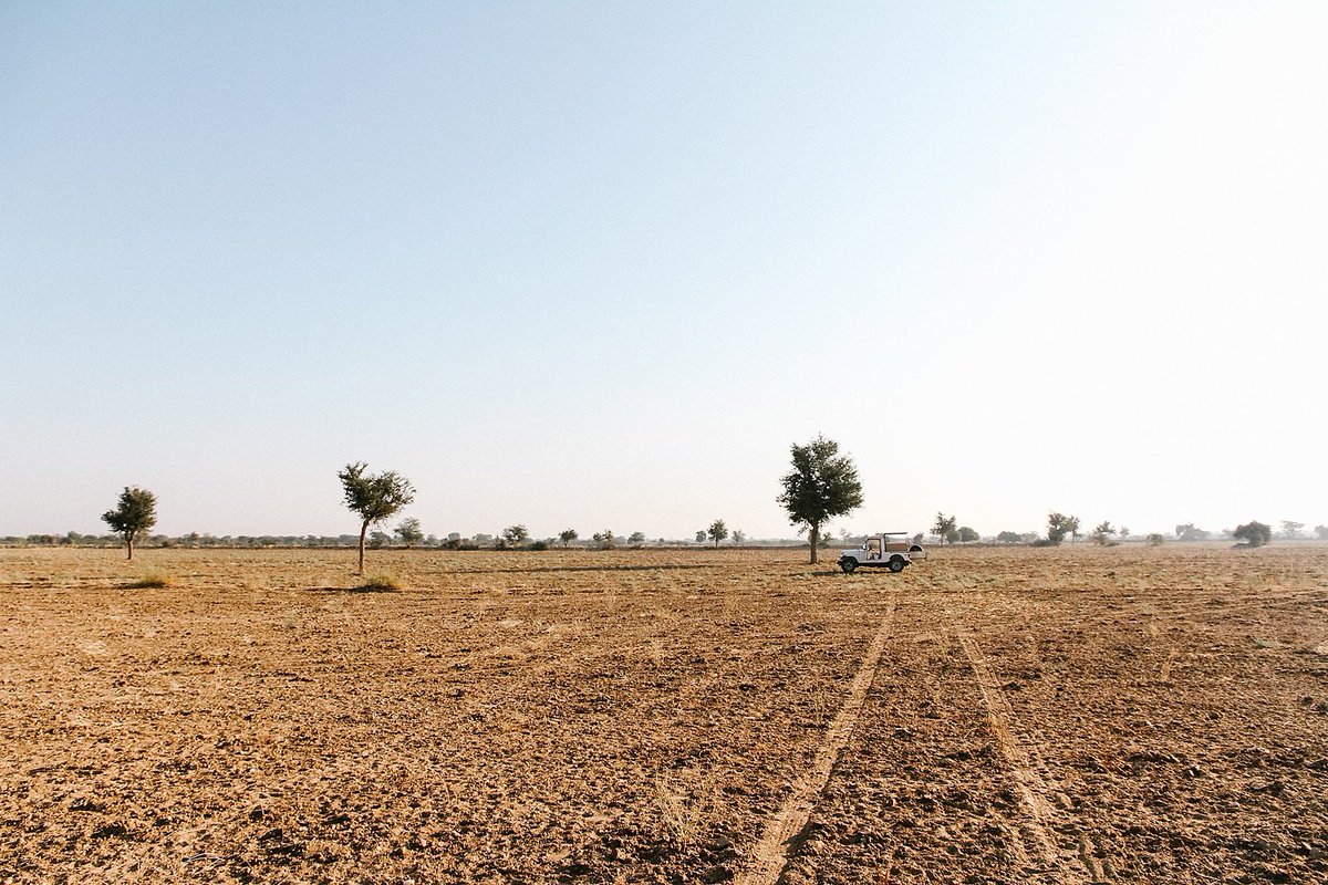 PoppySageBris's tweet photo. Spotting antelope on a wildlife safari somewhere near Rohet Garh, rural Rajasthan (just outside Jodhpur) 😍 // #rohetgarh #wanderlust #rajasthandiaries #travelphotography #ilovetravel #wildlifesafari #passportready #postcardsfromtheworld #traveltheworld #traveldeeper 🎀 https://t.co/t5NduycLzZ
