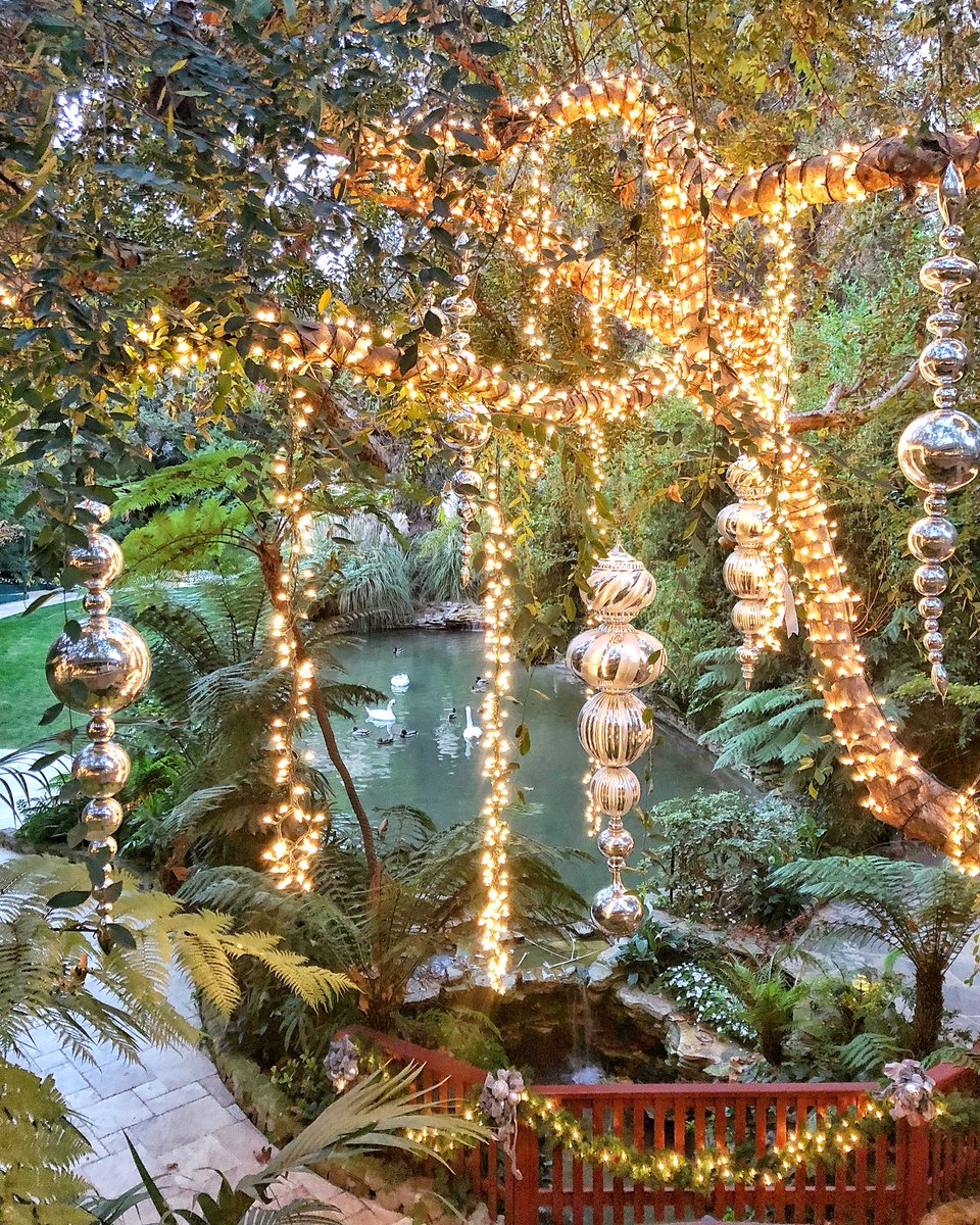 ‘Tis the season ✨🎄