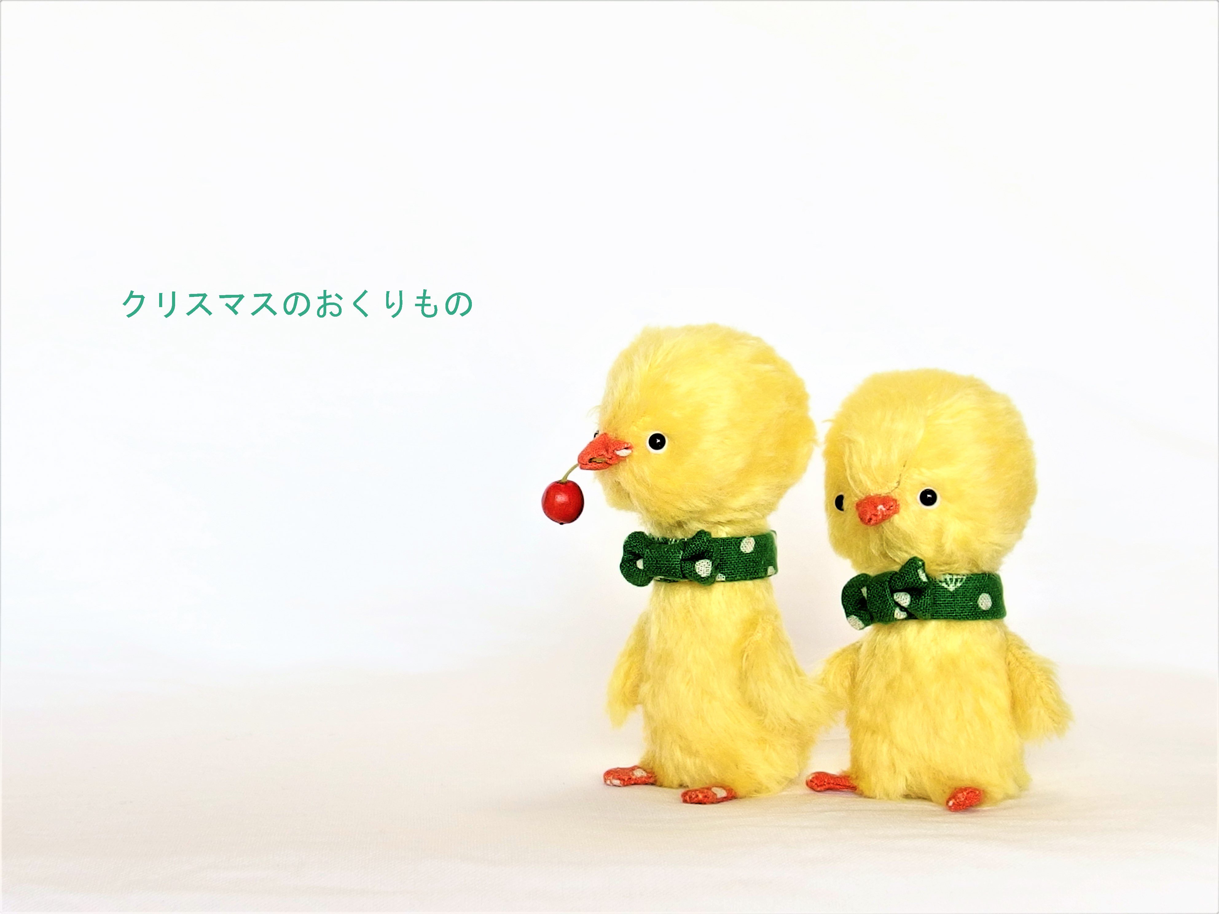 雛菊堂　タチムラシオリ様　ハリネズミちゃん ハリネズミちゃん2便