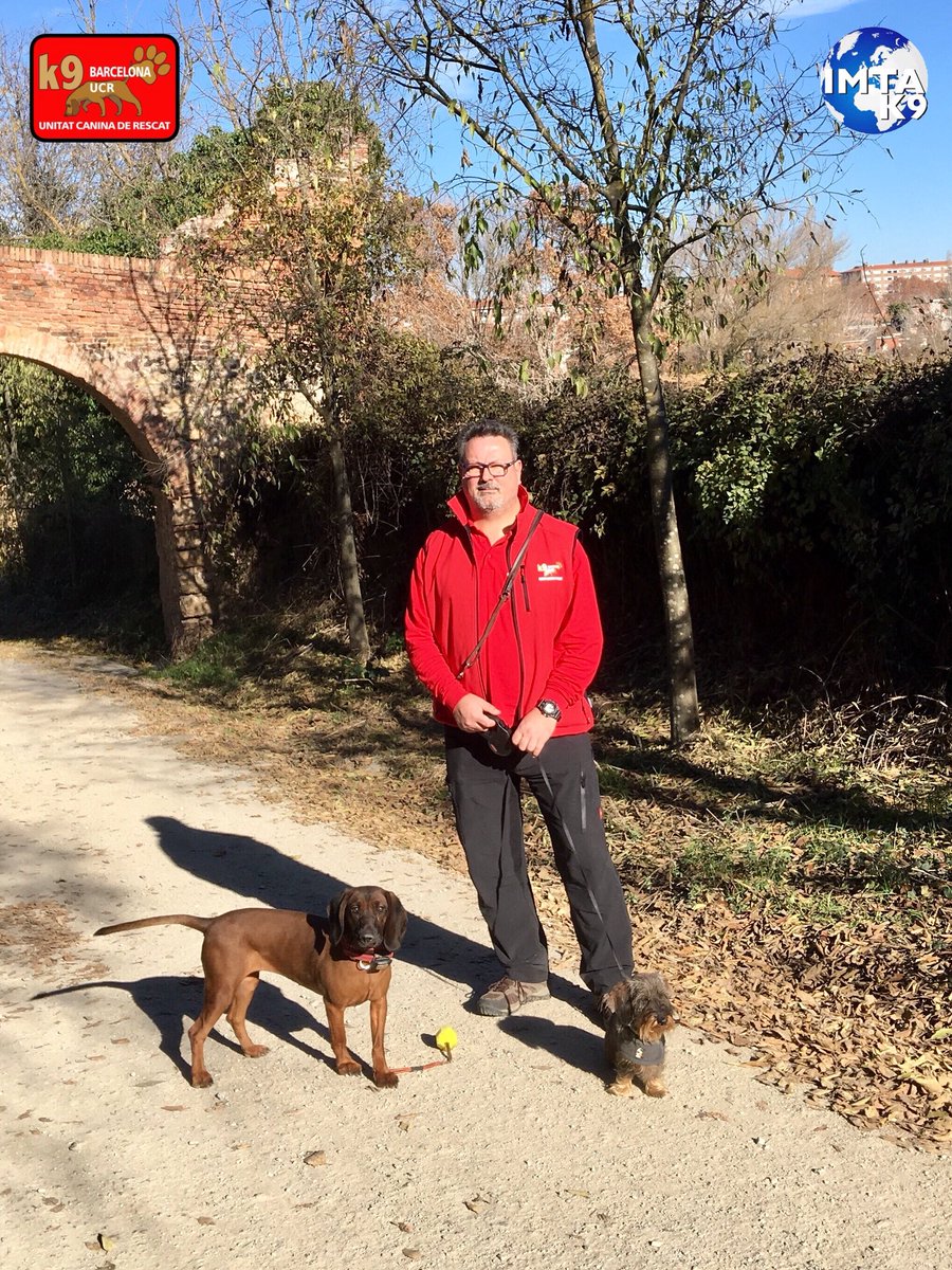 K9BarcelonaUCR's tweet photo. #k9barcelonaucr #k9 #mantrailing #sabuesodebaviera #teckel #perrosdebusqueda #rescate #sos #rescat #rescuedog #k9barcelona #imta #fcgris https://t.co/VzjyJQB6J2