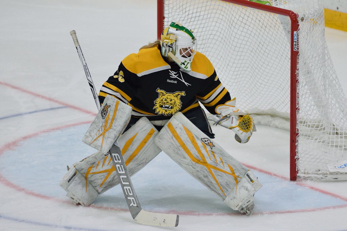 Behind The Mask with <a href="/Waattovaara/">Vilma Vaattovaara</a> of <a href="/ILVES_Naiset/">Ilves Naiset Liiga</a> #NaistenLiiga theicegarden.com/2017/12/3/1671…