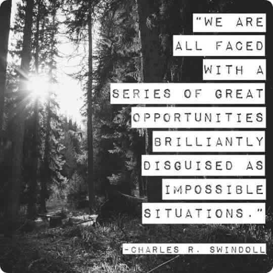 iamacallahan's tweet image. Great #opportunities are often disguised as impossible situations. #JoyTrain #SuccessTrain   @timelesssoul1 by #timelesssoul1