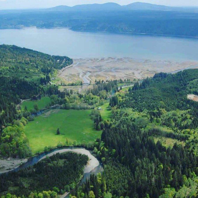 THE SECOND DAY OF OYSTERS:

HAMA HAMA OYSTERS, Hood Canal, Washington State

The Hood Canal is a legendary oyster region. And the area where Hama Hama grows their oysters is...

Learn more here: theoysterhood.com/oystories/2017…

#12daysofoysters #theoysterhood