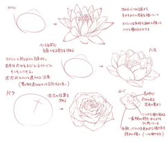 梅や桜 ボタンにバラ 花を描くコツをまとめた図説が参考になると話題に ねとらぼ