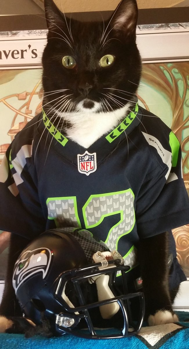 seahawks cat jersey