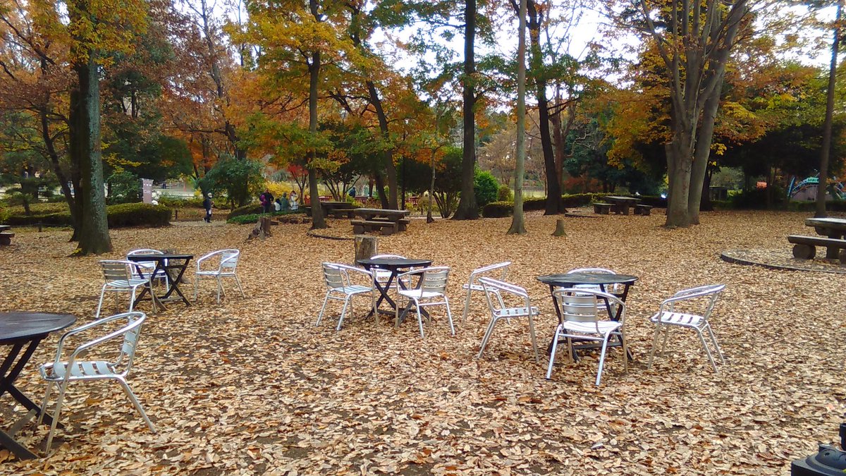 _cafe_common's tweet photo. 落ち葉ぎっしり！
https://t.co/tfKO0Jn5n1
#麻溝公園
#動物園
#アスレチック
#相模大野 
#小田急相模原
#カフェ
#古淵
#相模原公園
#わたあめ
#わたがし https://t.co/XIHIdHH4pS