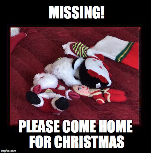Anyone seen anything like these? We miss them &amp; want them home for Christmas!! Miracles DO happen 👼🎄🎅👼