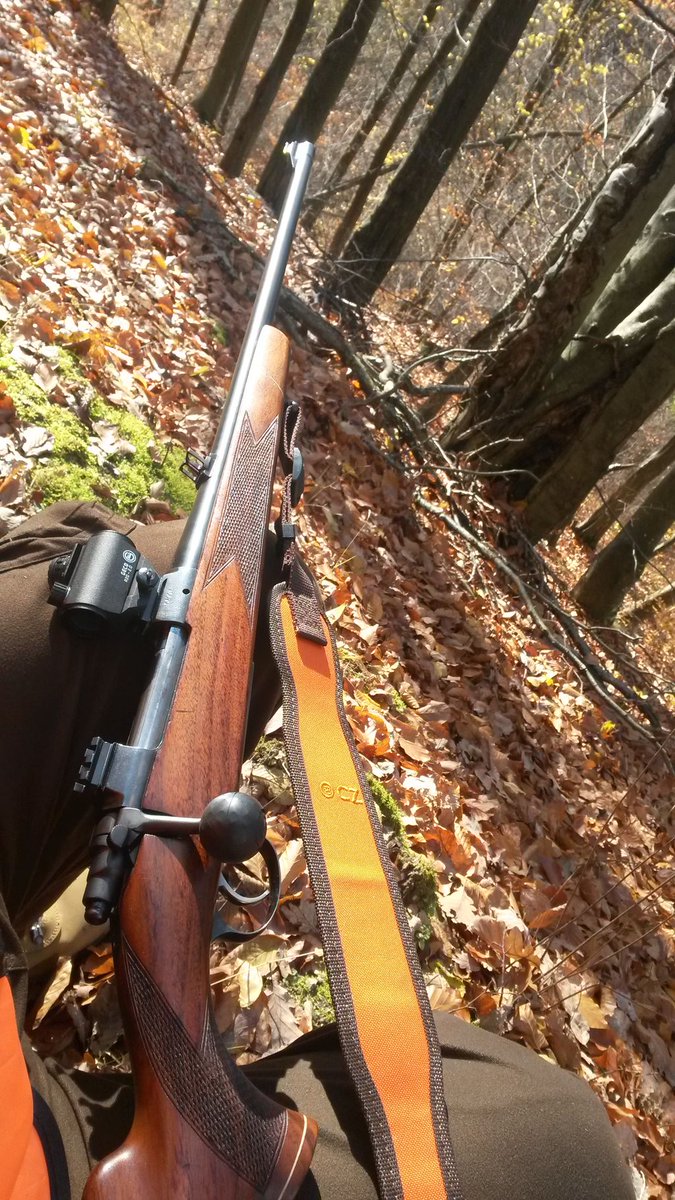 MatthewsHunting's tweet photo. Waiting for some thick-skinned boars with one of my favorite CZs (Brno ZKK 600) chambered in 9,3x62, equipped with red-dot sights :) Great tool for fast-paced driven boar hunts. https://t.co/QjxpFiYjp2
