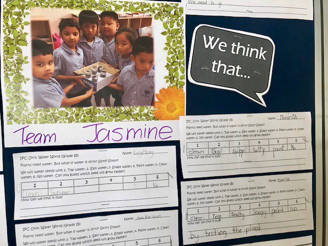 SISC_Official's tweet photo. We are finding out what plants need to grow! In the Grade 1 @The_IPC unit #waterworld groups of students conduct simple investigations and measure their plant's progress.  We even #hypothesize what we think might happen. https://t.co/YsrVDj9KmI