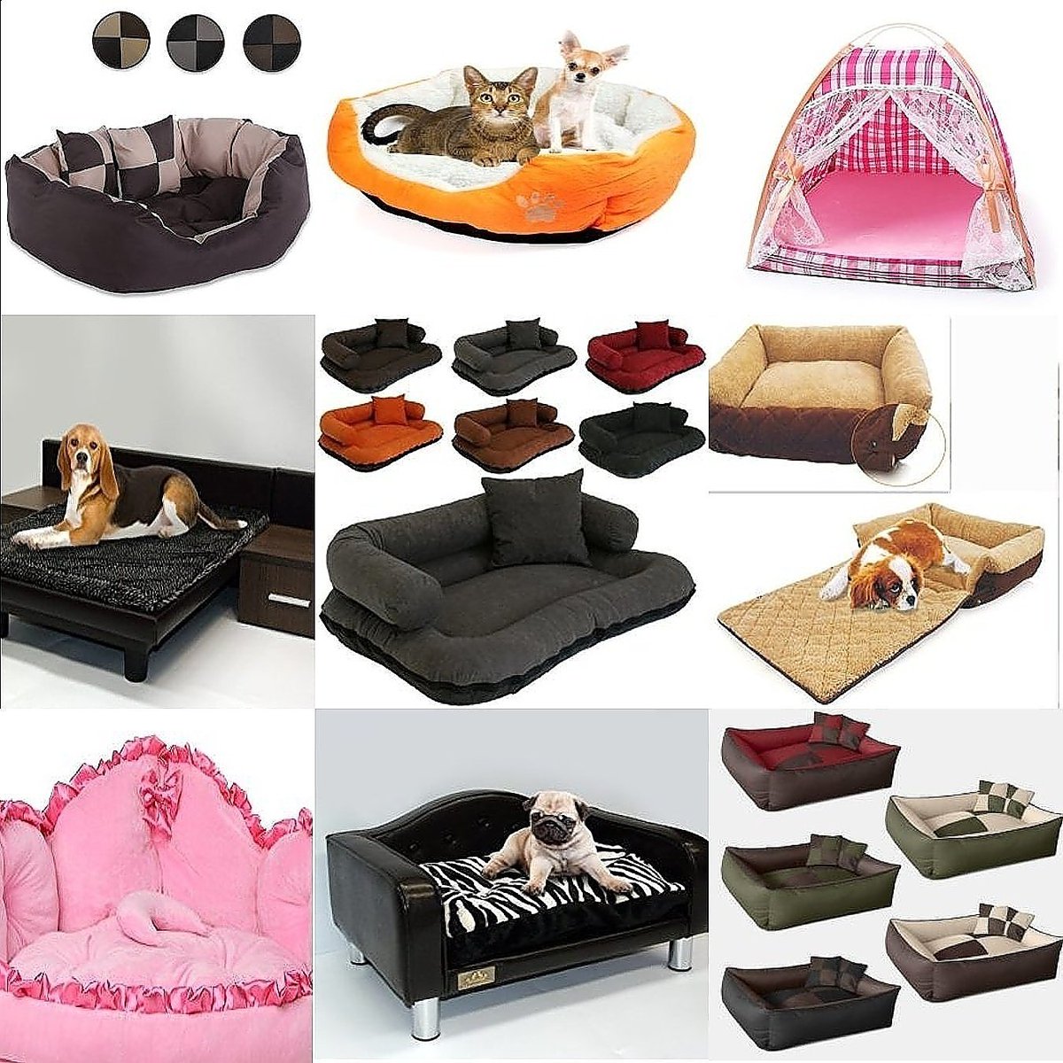 misamigoslosan1's tweet photo. https://t.co/e7Ve3vq2fk
Visita nuestra tienda virtual y Blog dedicada al mundo de las mascotas en la que podemos encontrar productos para perros, gatos y caballos
#perros #camasperro #correasperro #ropaperro #comederosperro #gatos #rascadores #juguetesgato #camasgato # caballos https://t.co/OfZ2ecLpWj