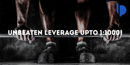 LeoPrimeFx's tweet photo. Maximize your earning potential with our leverage options
#highleverage #brokerage #currencyexchange #metatrader #instaforex #tradingonline #forexlive #forexdaily #easyforex
Like us: https://t.co/fSg5jcmVcC
LinkedIn: https://t.co/VHGB4Nncgr https://t.co/nhFUeA2hFD
