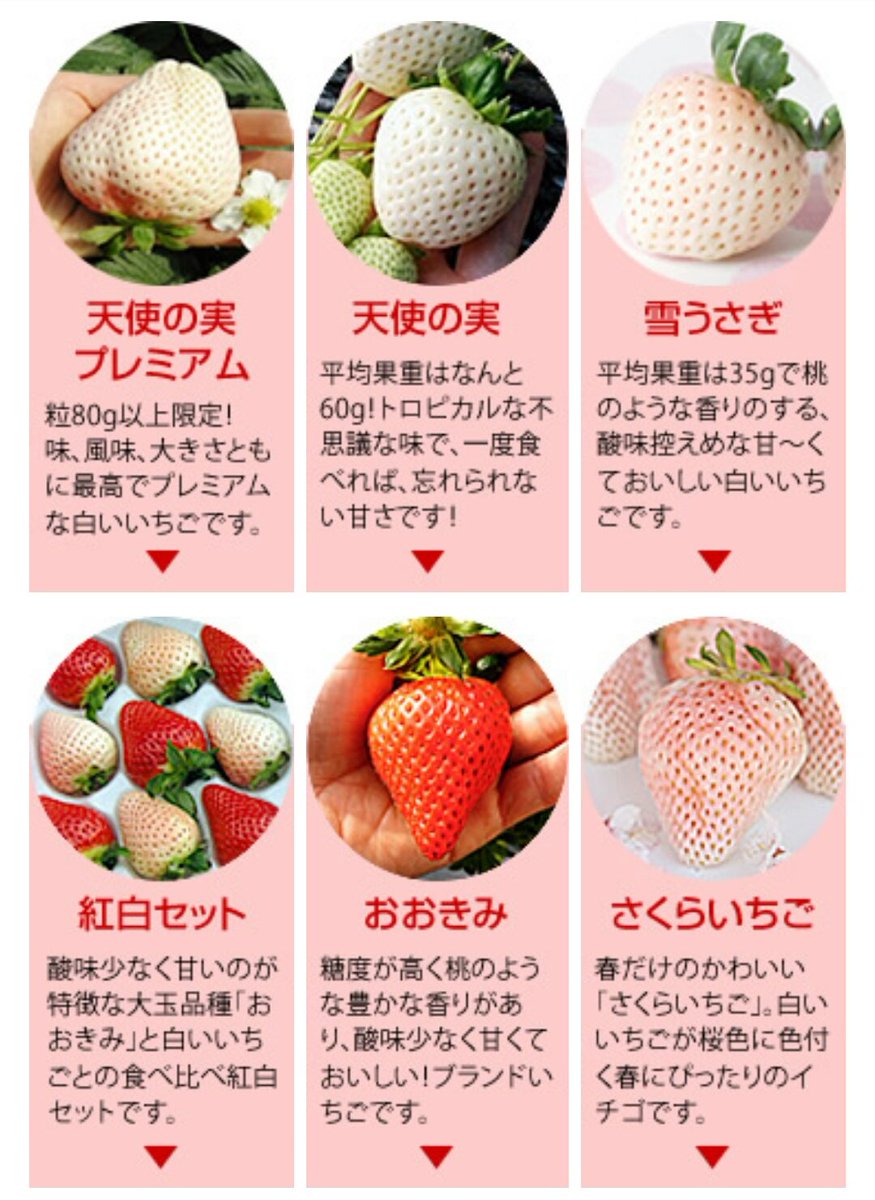 天使の実 天使の実