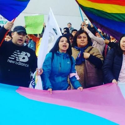 OTDChile's tweet photo. #FamiliasTrans💝 existimos en cada poblacion y ciudad del pais y no daremos ni un paso atras hasta que se reconozca el derecho a la identidad de nuestres hijes trans!
Ley de Identidad de Genero para Chile! #AhoraYA 
#MidentidadMiDerecho 
@mbachelet @GobiernodeChile 
@segegob https://t.co/GRcOBUH9e2