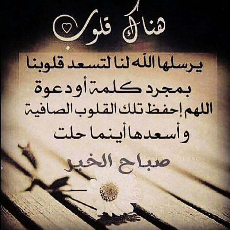muna1234hotmil's tweet photo. هناك... https://t.co/uDuavSkYTy