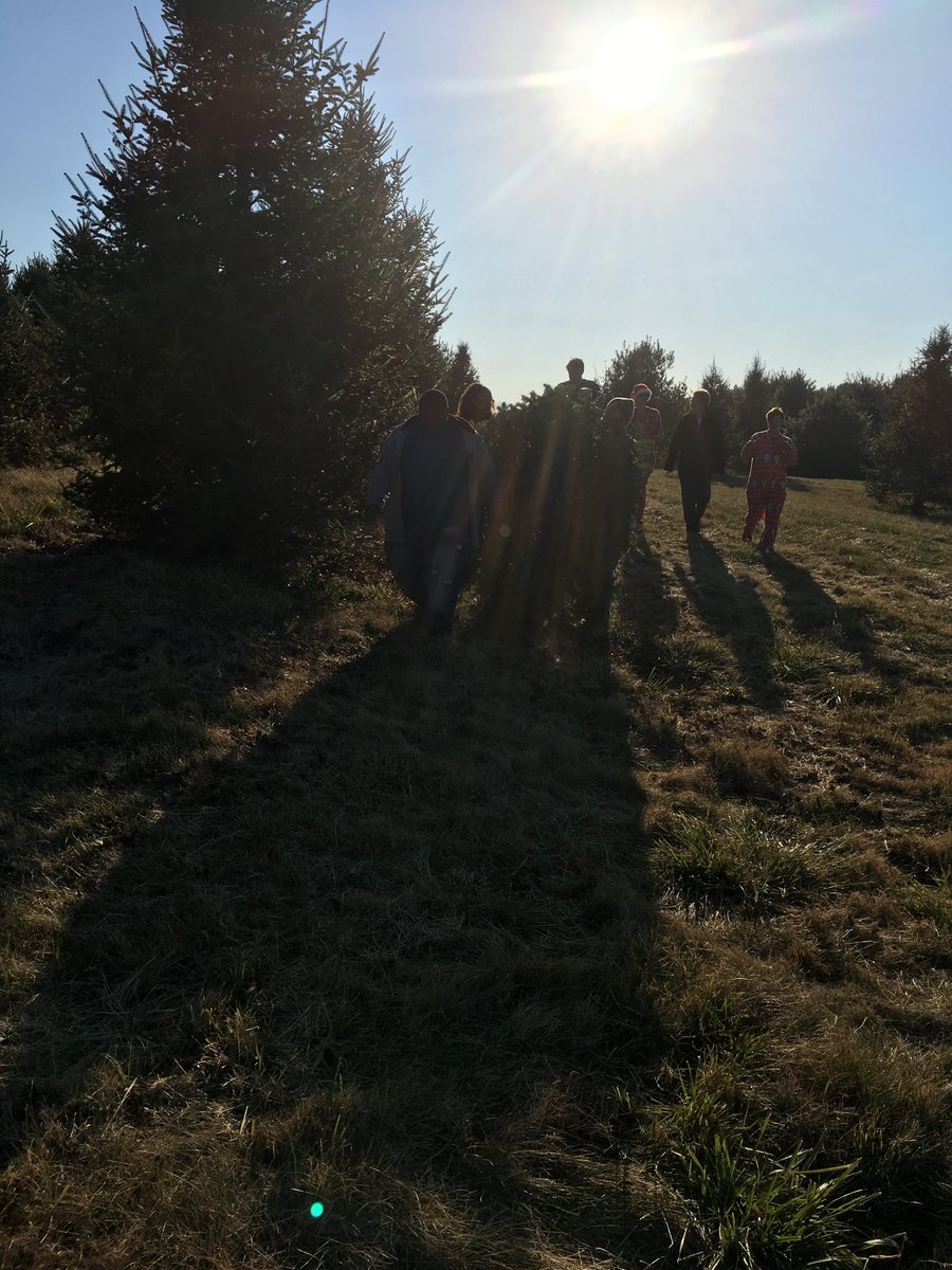 Handleyband's tweet photo. Bad picture- but yes we stopped at a tree farm cut a tree and shoved it in the back of a school bus👍 ...and the tree farm folks loved it😂 https://t.co/ohjDrhuyK1