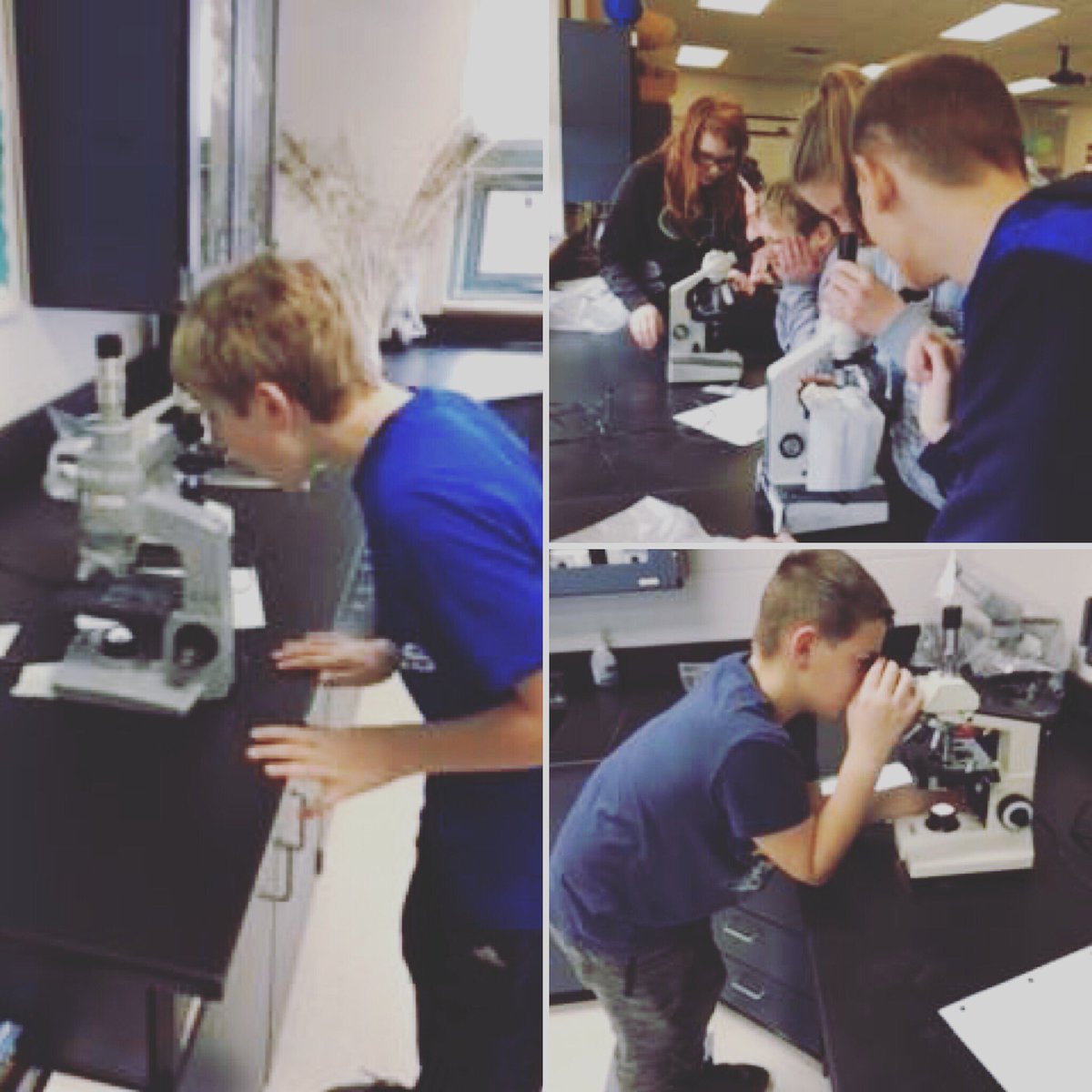 cameroncomets's tweet photo. 7th grade #CameronComets have been busy learning how to use compound light microscopes. #microscope #underamicroscope https://t.co/OnGrwPV2zb