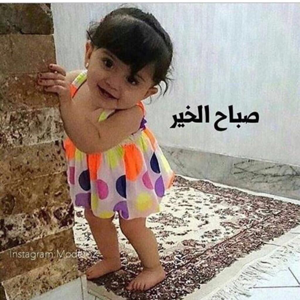 alsaadi887's tweet photo. @maz___1 @Aboood_150k @kk5__550k @t8_jg @yyyooi_ @__n_ala @Jolya115 @Drar1199 @sasa_sdff @Remo_100k @u__ooii @300skr @300kOm_ @__500l @khalid1734 @Sherif__alqadi @Noorr___04 @mee2_33 @5k9jj9  https://t.co/cQwVc4x5ur