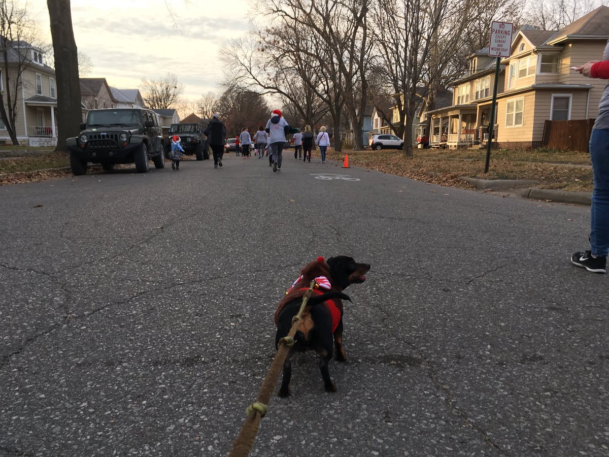barks4bacon's tweet photo. Jingle Bells, Jingle Bells, Running all the way! Lots of kids. Warm wind blowin’. Mom! Come on! Keep up! https://t.co/XAUxifhUBS