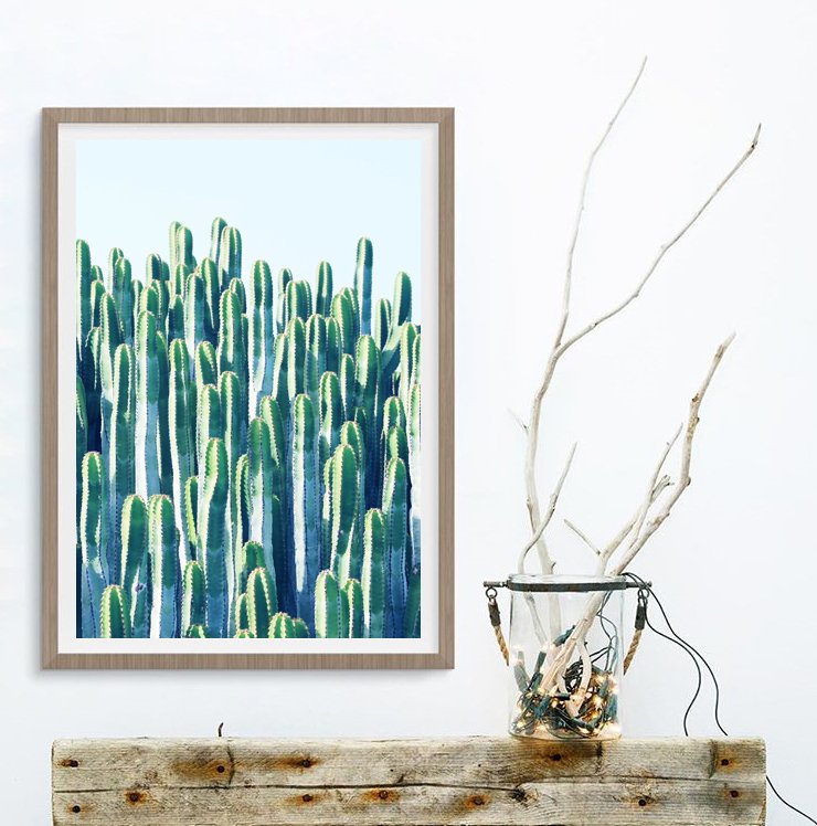 83oranges's tweet photo. ‘Cactus’ Posters &amp; Art Prints @seenby #seenby #buyart #cactus #cactusprints https://t.co/K35ucMiGO5 https://t.co/uZa9etilqe