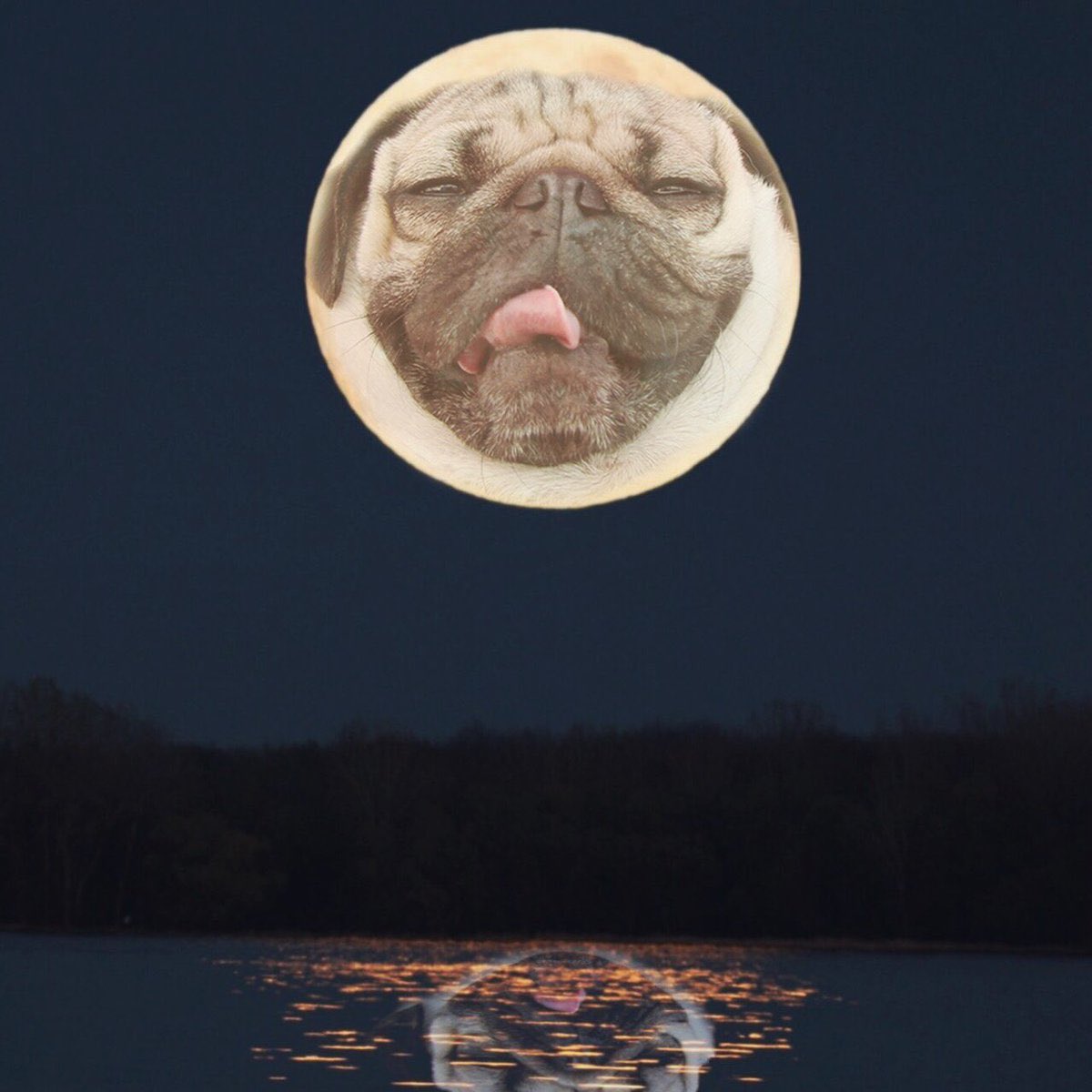 This supermoon is crazy