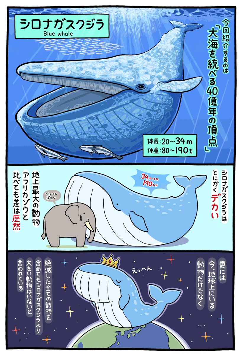 【告知】
祝！連載化！
本日４日発売のまんがくらぶに
まんがでわかる動物講座が掲載されております
とても光栄なことに今回から連載が決まりました！
いつも読んで頂いてる方々に感謝です！
第４回目は「シロナガスクジラ」
今回は特に気合… 