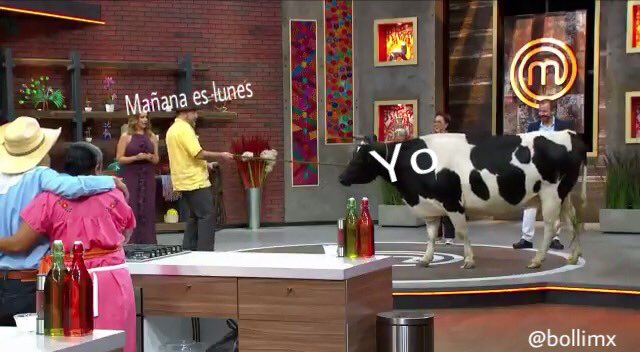 bollimx's tweet photo. La vaca me representa tanto. #MasterChefMx https://t.co/9e2V6GMHpE