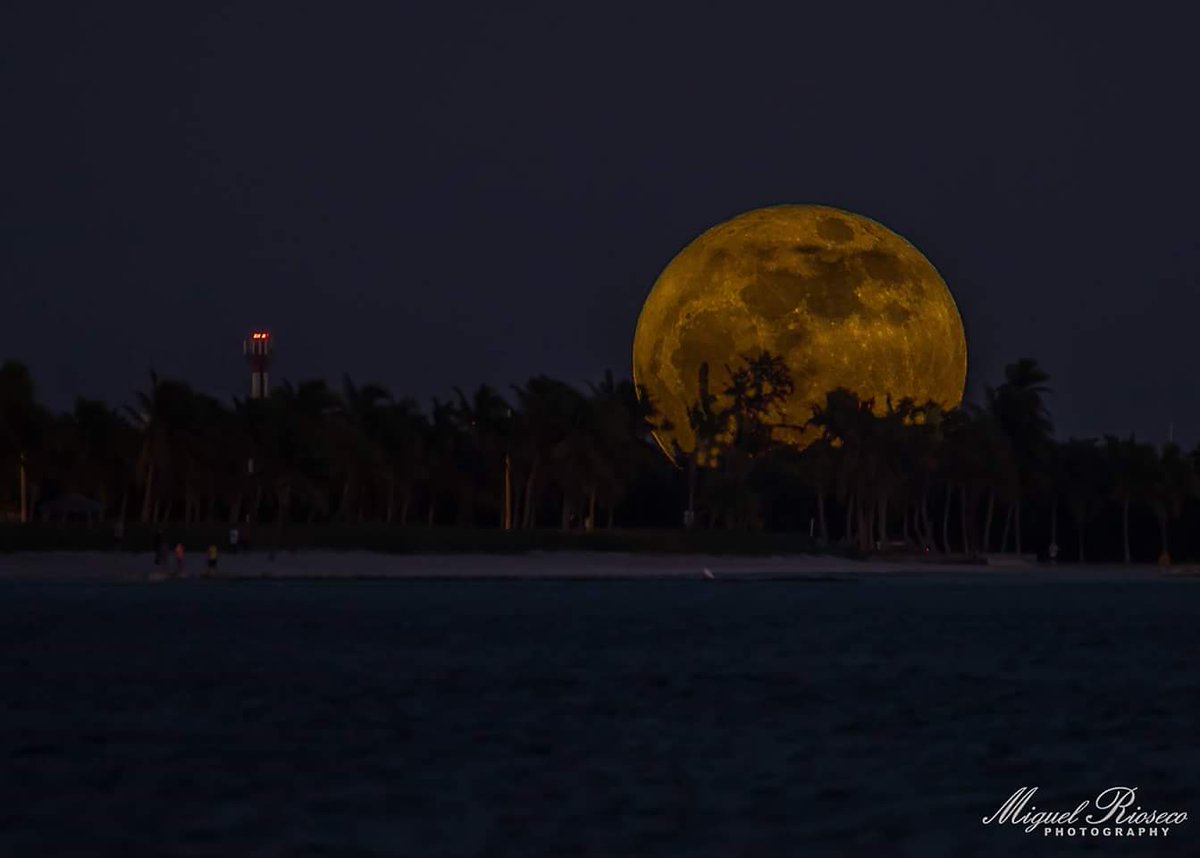 KWUrgentUpdate's tweet image. Awesome moonrise as seen earlier this evening (12/3/17) from #KeyWest. Picture by Miguel Rioseco. Temperatures overnight in the #FLKeys will fall into the lower 70s under mostly clear skies. #FLwx #supermoon 

— NWS Key West (NWSKeyWest) December 4, 2017