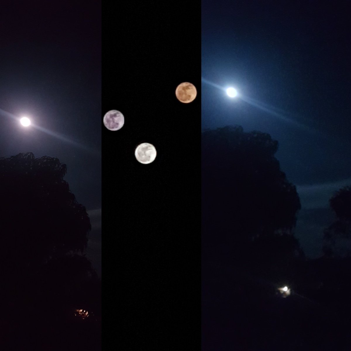 javi  sanchez (@jairo_buffon1) on Twitter photo 