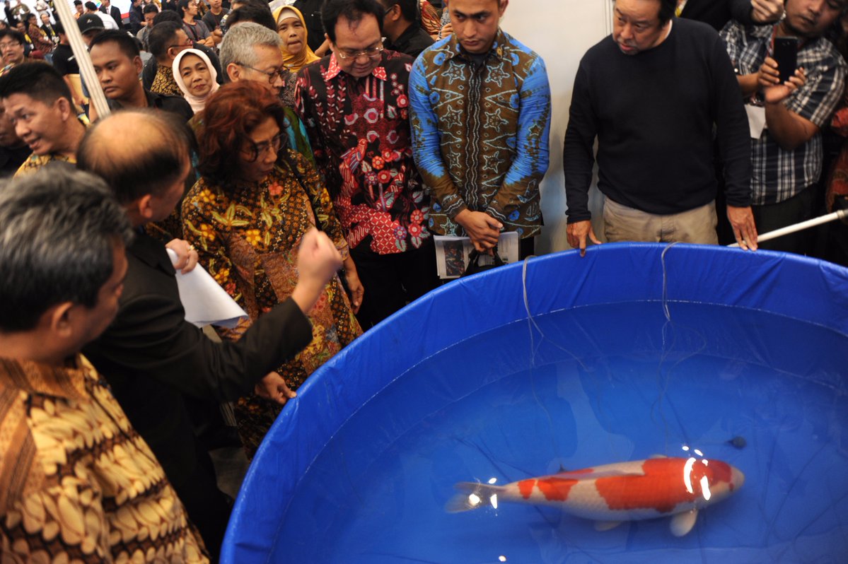 kkpgoid's tweet photo. Menteri @susipudjiastuti menyerahkan Piala Bergilir Presiden RI & Piala Bergilir Grand Champion kpd Bp. Sugiarto Kurniawan asal Surabaya. Ikan koi merah putih miliknya terpilih sbg pemenang dlm #Nusatic2017 (3/12). Yeaayy! Selamaaattt.๐๐
๐ท@reginasafri/Humas @Ditjen_PDSPKP https://t.co/VoGZbBB4C2