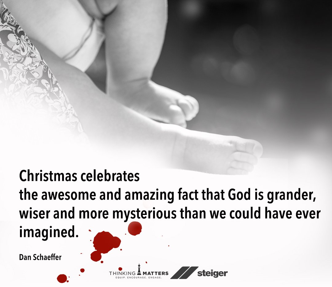 thinknz's tweet photo. How fortunate are we #ChristmasSeason #SteigerNewZealand https://t.co/qW3VvtmLaV