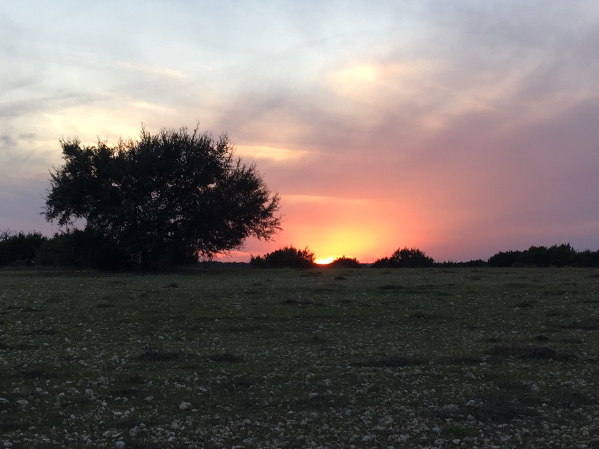 What a blessing to see this while on a youth hunt this weekend! Love how God paints a new masterpiece everyday! #caf17 #ImpactTexas