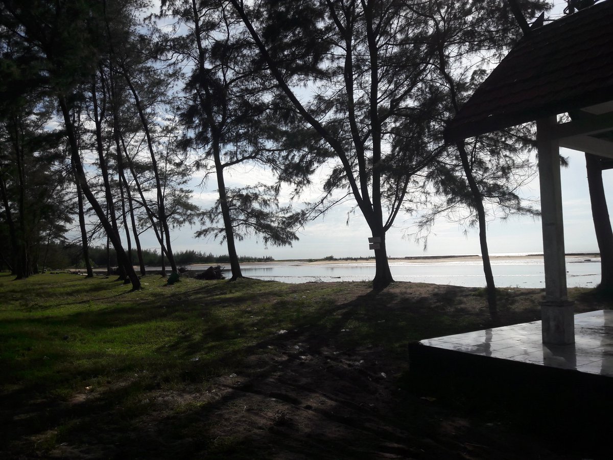 Abdi_PDP_SHT's tweet photo. Mengawali hari dengan menikmati pemandangan desa pesisir.. @jokowi @taufikmadjid71 @EkoSandjojo #ManfaatDanaDesa #Kalteng #DesaPesisir https://t.co/RKvwfRFh26