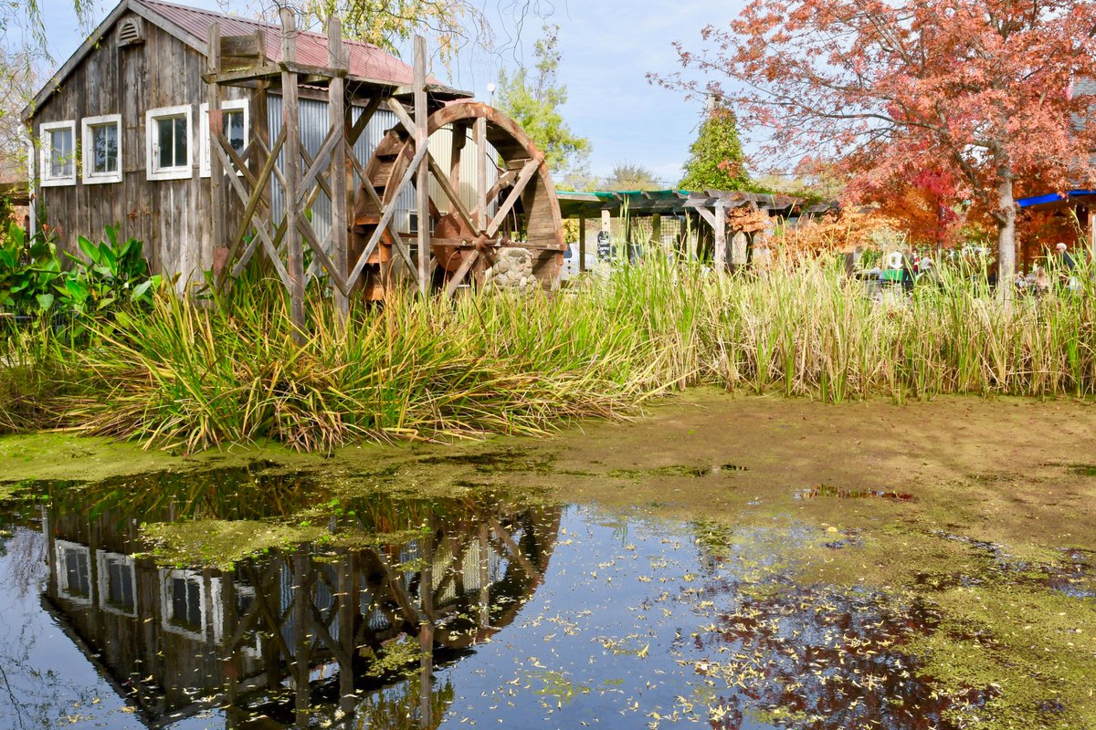 JulieEllerton's tweet photo. Reflections of...
#colortherapy #healingvibes #currentmood #soultime #belove #tistheseasons #casquewines #northerncal #winecountry #wine #vineyards #gypsieschicks #daretodream #reflectionsof #Malibu https://t.co/0Q1UFnYyYz
