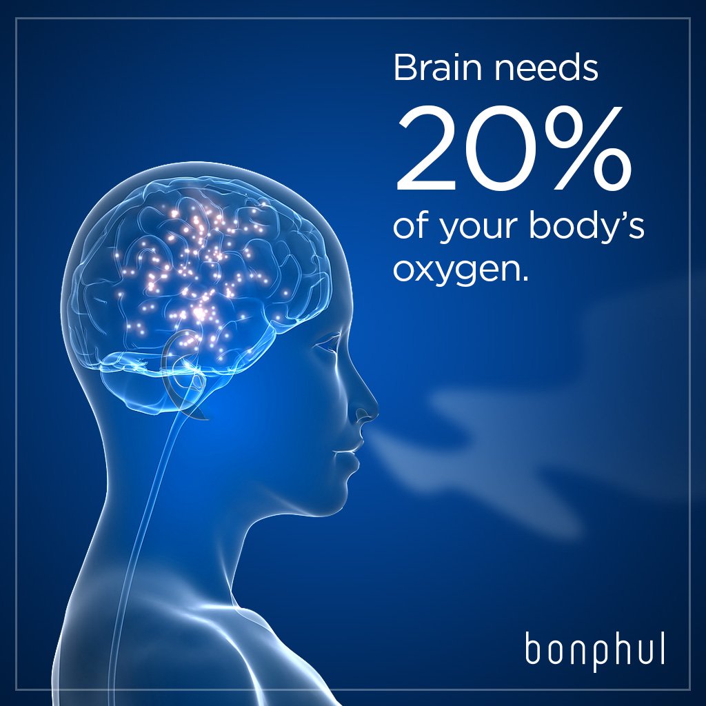 BonphulAPL's tweet photo. Breathe fresh to think fresh! OxyMax helps reduce CO2 concentration level, thereby stirring your think-pot for better performance.

#ThinkFresh #Performance #Technology #Breathe #Bonphul #OxyMax #FreshAir #bonphulapl https://t.co/Nme7v9SrlG