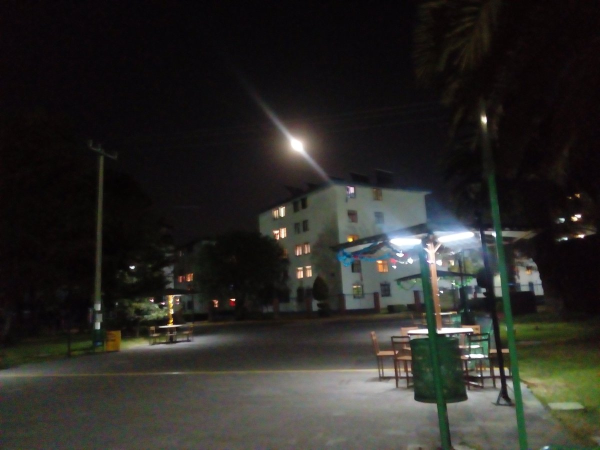 forestal_manuel's tweet photo. #Chapingo https://t.co/sDoTEDbLqh