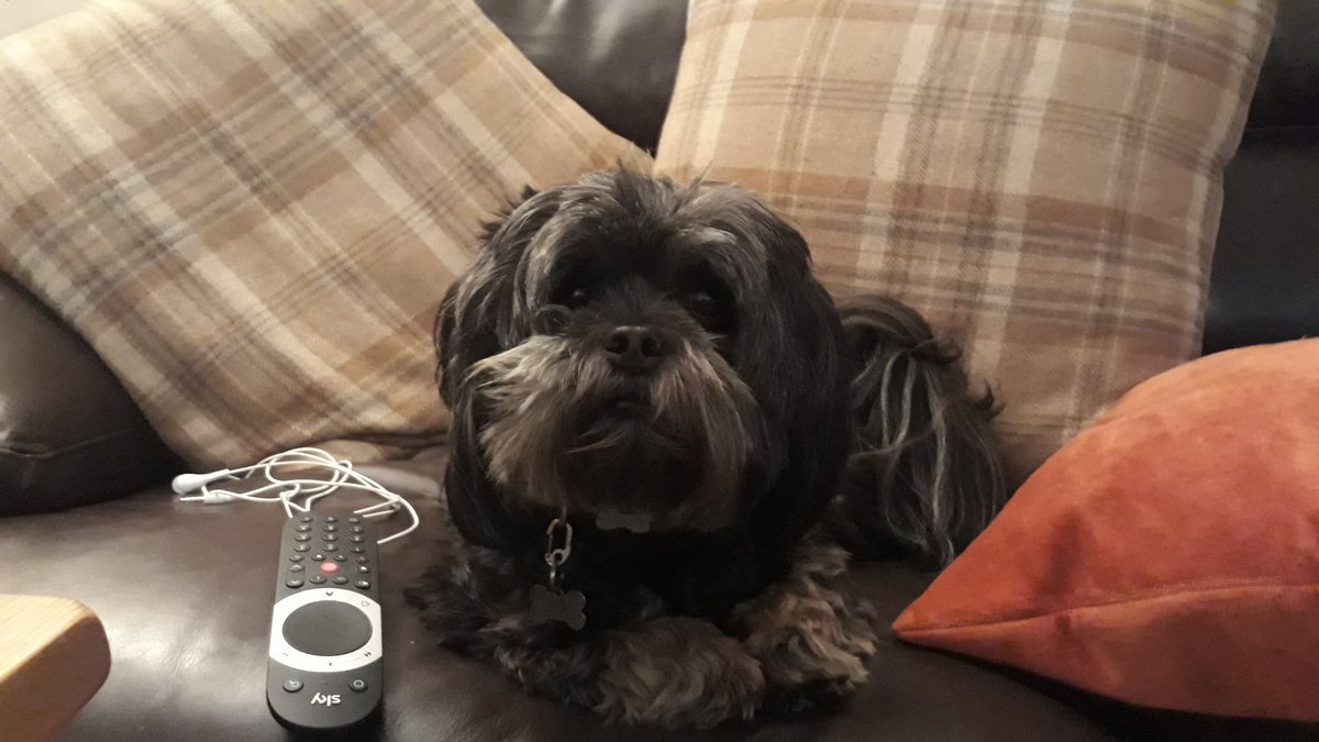 dogloverfans's tweet photo. We always have a fab time when our good friend Lulu comes to stay... apart from when she nicks Dad's spot on the sofa! 😒🐶😂 Glad you had a lovely evening, see you soon #Doglovers 😉 https://t.co/Qv9kJJOyqZ