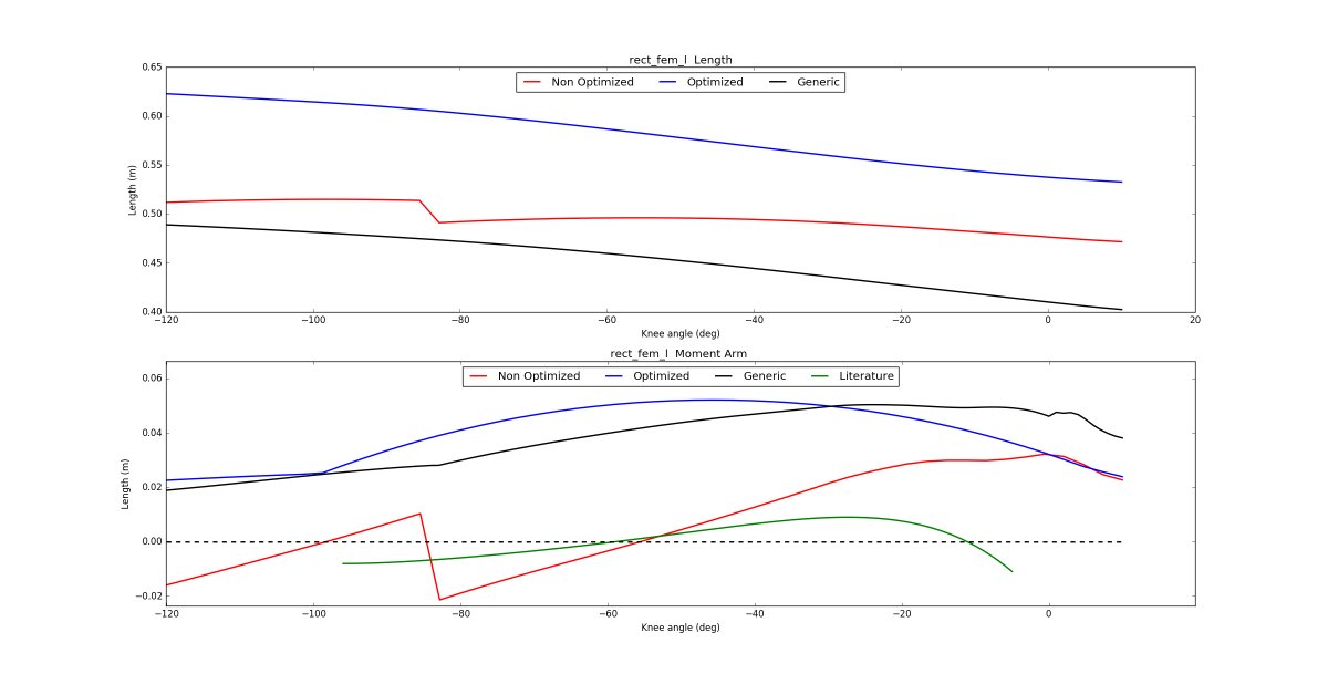 bryce_killen's tweet photo. Optimization of subject-specific OpenSim model MTU path generation / customization coming along ! #subjectspecifcmodelling #OpenSim #phdlife #python #HPC #MAPClient https://t.co/bVGwsYuaIc