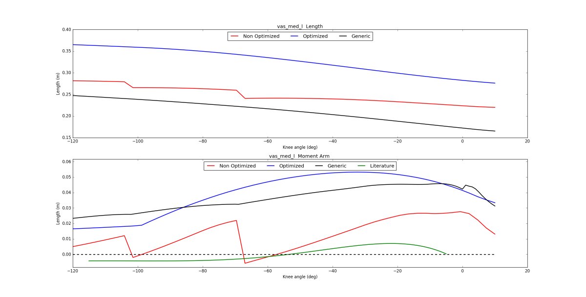 bryce_killen's tweet photo. Optimization of subject-specific OpenSim model MTU path generation / customization coming along ! #subjectspecifcmodelling #OpenSim #phdlife #python #HPC #MAPClient https://t.co/bVGwsYuaIc