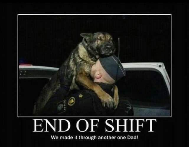 PSOSDogs's tweet photo. Swap Dad for Mum and this is currently how I'm feeling after the last three night shifts with #PDBodie #PDBilly #TPDMax https://t.co/PtC9eu73Py