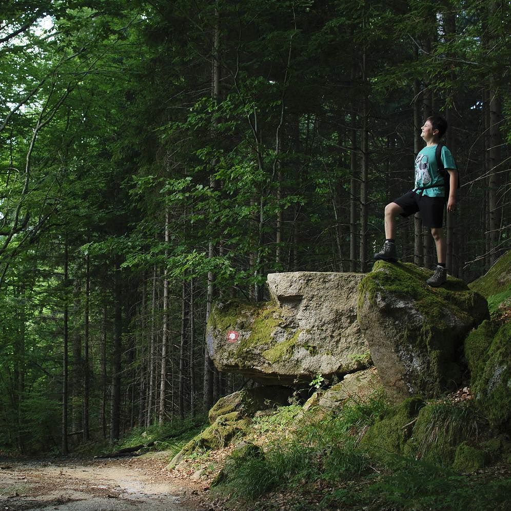 AuTournant's tweet photo. In the #nationalPark of #Risnjak in #Croatia, the natural light and a young boy who was playing gave me a wonderful picture. Nice walk in the area !

#park #croatiafulloflife #europe  #nonstopexploring #VisitKvarner #becharmed  #Risnjak https://t.co/QuHJQ3Sljh https://t.co/olnywoQdC3
